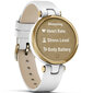 Garmin Lily® Classic Light Gold/White hind ja info | Nutikellad (smartwatch) | kaup24.ee