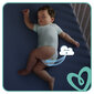 Mähkmed Pampers Active Baby, Monthly Pack, suurus 6, 13-18 kg, 128 tk цена и информация | Mähkmed | kaup24.ee