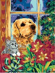 Maalid numbrite järgi "Dog and cat" 30x40 G цена и информация | Живопись по номерам | kaup24.ee