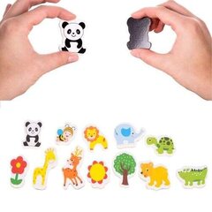 Värvilised magnetid цена и информация | Развивающие игрушки | kaup24.ee