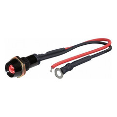 LED Kerge Foliatec 33154 Punane (10 mm) hind ja info | Autopirnid | kaup24.ee