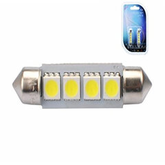LED-lamp M-Tech C5W 12V hind ja info | Autopirnid | kaup24.ee