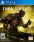 PlayStation 4 Mäng Dark Souls III hind ja info | Arvutimängud, konsoolimängud | kaup24.ee