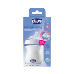 Pudel Chicco Natural Feeling 250 ml koos silikoonlutiga 2+ elukuud hind ja info | Lutipudelid ja aksessuaarid | kaup24.ee