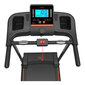 Jooksulint Astan Hogar Runny Fitness 1040 (1000 w) hind ja info | Jooksulindid | kaup24.ee