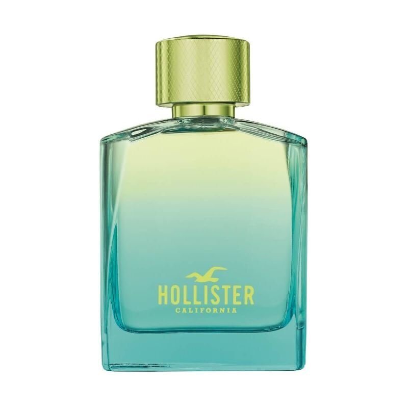 Hollister Wave 2 EDT meestele 100 ml цена и информация | Meeste parfüümid | kaup24.ee