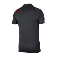 Meeste spordisärk Nike Dry Academy Pro M BV6922-062 (52471) hind ja info | Meeste spordiriided | kaup24.ee