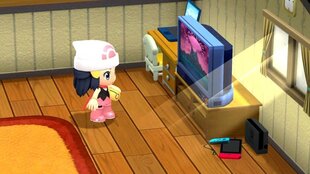 Mäng Pokemon: Shining Pearl (Switch) цена и информация | Компьютерные игры | kaup24.ee