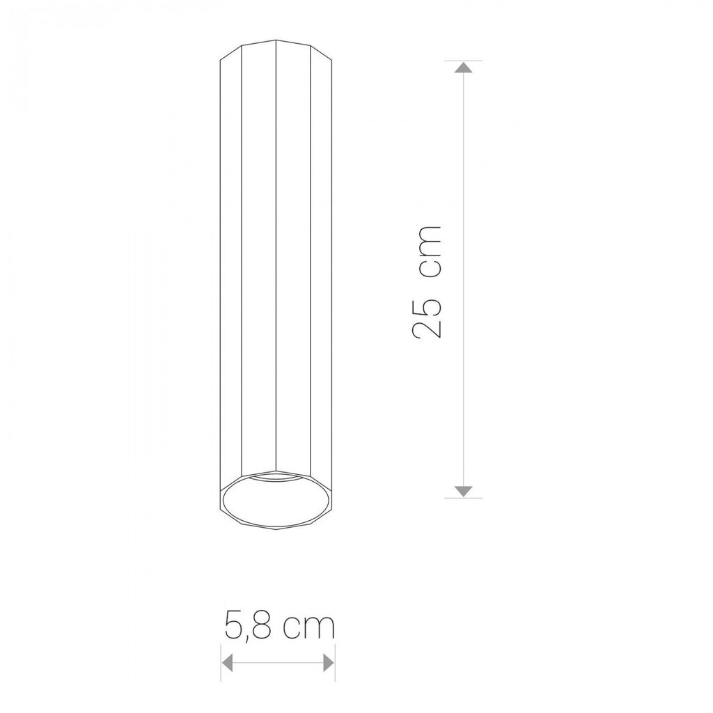 Nowodvorski Lighting laevalgusti Cameleon Poly M White 8877 цена и информация | Laelambid | kaup24.ee