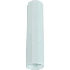 Nowodvorski Lighting laevalgusti Cameleon Poly M White 8877 цена и информация | Потолочные светильники | kaup24.ee