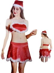 Новогодний костюм цена и информация | Сексуальное женское белье | kaup24.ee