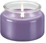 Lõhnaküünal Tescoma Fancy Home Provence 200 g hind ja info | Küünlad, küünlajalad | kaup24.ee