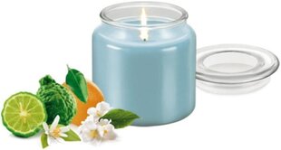 Lõhnaküünal Tescoma Fancy Home, 410 g hind ja info | Küünlad, küünlajalad | kaup24.ee