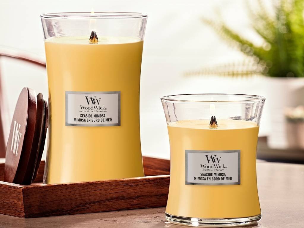 WoodWick lõhnaküünal Seaside Mimosa, 453,6 g hind ja info | Küünlad, küünlajalad | kaup24.ee