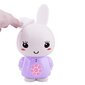 Honey Bunny ALILO Blue (vene keeles) G6 hind ja info | Imikute mänguasjad | kaup24.ee