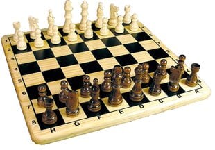Тактическая настольная игра Шахматы цена и информация | Настольные игры | kaup24.ee