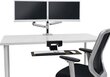 Monitori lauakinnitus ERGOTRON LX 45-248-026 hind ja info | Teleri seinakinnitused ja hoidjad | kaup24.ee