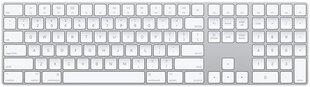 Juhtmevaba klaviatuur Apple Magic Keyboard koos numbriklaviatuuriga (US) MQ052LB/A hind ja info | Klaviatuurid | kaup24.ee