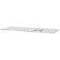 Juhtmevaba klaviatuur Apple Magic Keyboard koos numbriklaviatuuriga (US) MQ052LB/A hind ja info | Klaviatuurid | kaup24.ee