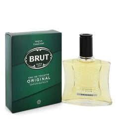 Meeste parfüüm Faberge Brut EDT (100 ml) hind ja info | Meeste parfüümid | kaup24.ee