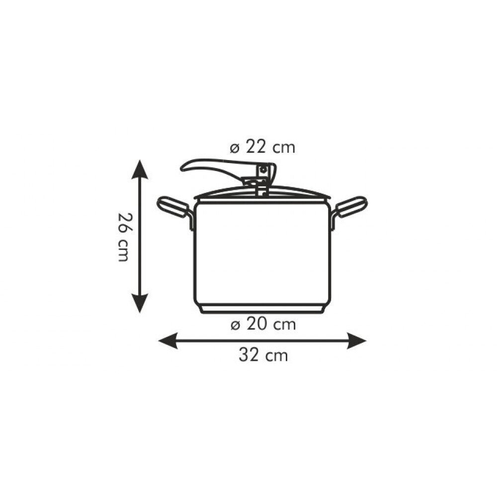 Tescoma Magnum kiirkeetja, 7 l цена и информация | Potid ja kiirkeedupotid | kaup24.ee