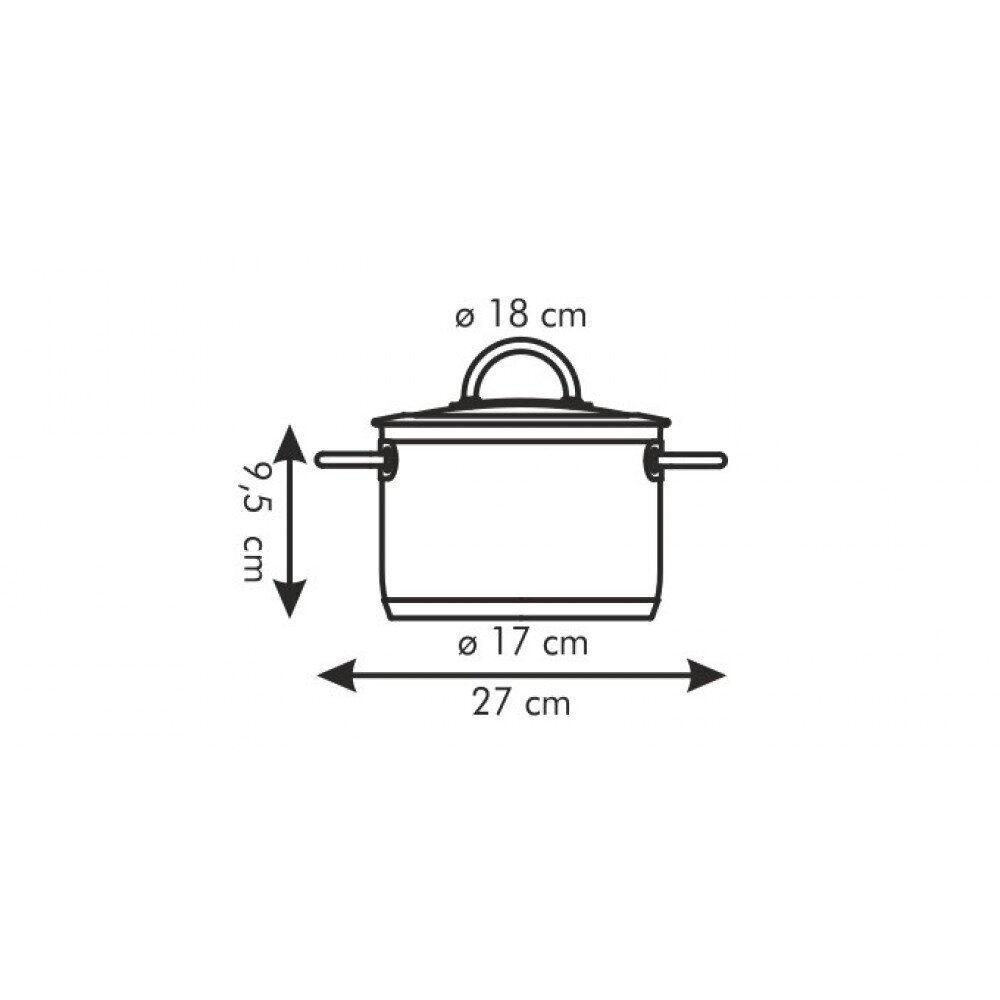 Tescoma Vision pott koos kaanega, 18 cm, 2 l цена и информация | Potid ja kiirkeedupotid | kaup24.ee