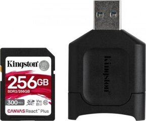 Kingston MLPR2/256GB цена и информация | Карты памяти | kaup24.ee