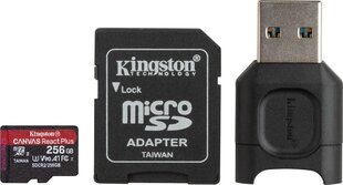 Kingston MLPMR2/256GB цена и информация | Карты памяти | kaup24.ee