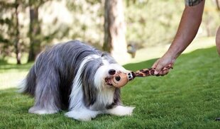 KONG KOERA MÄNGUASI WUBBA FLOPPY EARS L VALIK hind ja info | Mänguasjad koertele | kaup24.ee