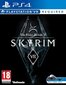 PlayStation4 VR mäng The Elder Scrolls V: Skyrim цена и информация | Arvutimängud, konsoolimängud | kaup24.ee