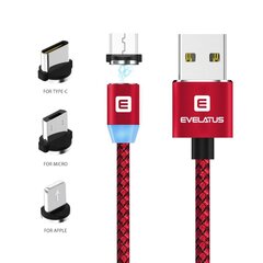 Evelatus Universal Data Kaabel LTM02 3 in 1 Magnetic (Lightining, Type C, Micro USB) Red hind ja info | Mobiiltelefonide kaablid | kaup24.ee