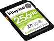 Mälupulk KINGSTON 256GB SDXC Canvas Select Plus цена и информация | Fotoaparaatide mälukaardid | kaup24.ee