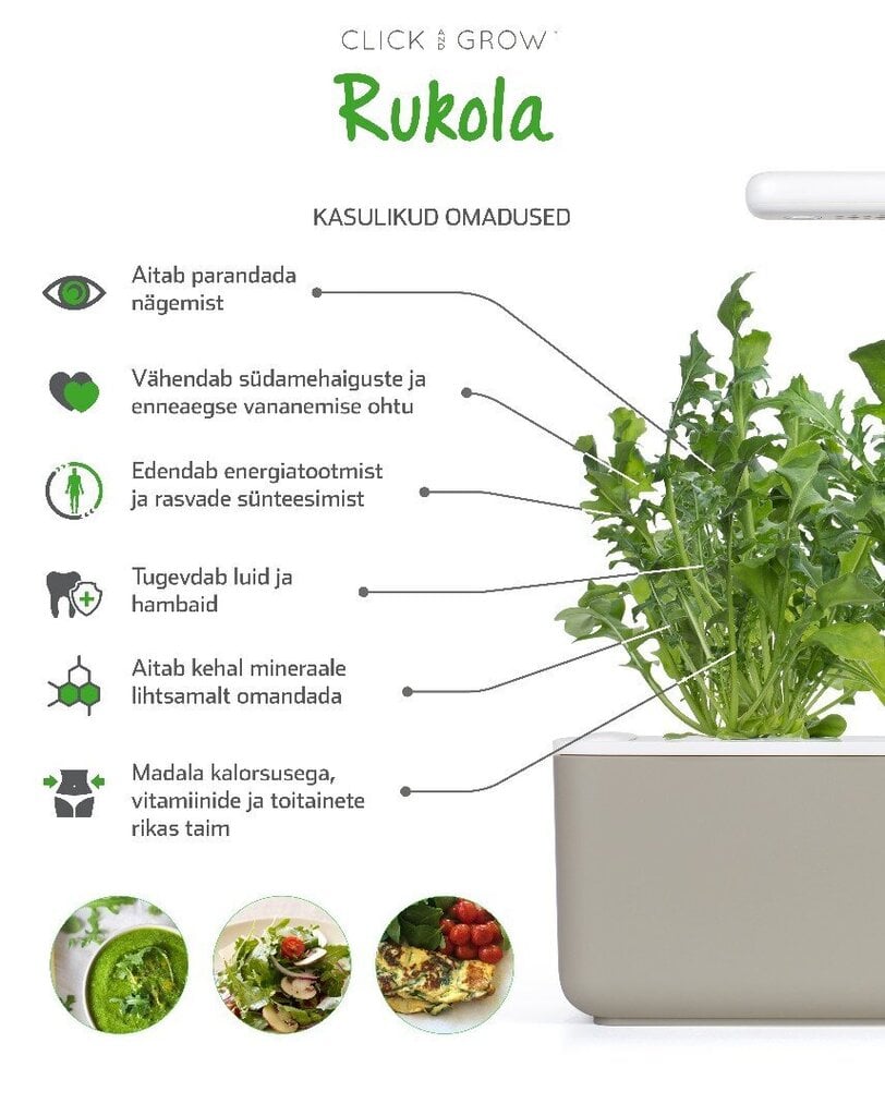Click & Grow Smart Garden refill Rukola 3tk цена и информация | Nutipotid ja taimelambid | kaup24.ee