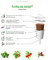 Click & Grow Smart Garden refill Rukola 3tk цена и информация | Nutipotid ja taimelambid | kaup24.ee