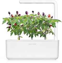 Click & Grow Smart Garden refill Фиолетовый чили перец 3 штуки цена и информация | Проращиватели, лампы для растений | kaup24.ee