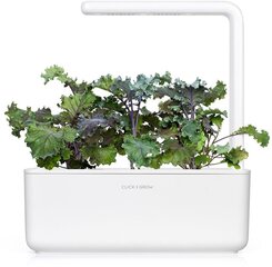 Click & Grow Smart Garden refill Punane lehtkapsas 3tk hind ja info | Nutipotid ja taimelambid | kaup24.ee