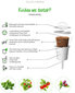 Click & Grow Smart Garden refill Kääbusbasiilik 3tk hind ja info | Nutipotid ja taimelambid | kaup24.ee