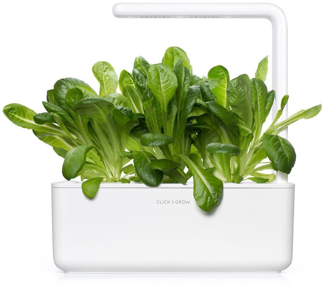 Click & Grow Smart Garden refill Rooma salat 3tk hind ja info | Nutipotid ja taimelambid | kaup24.ee