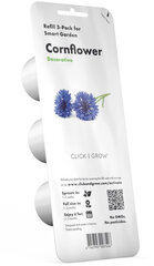 Click & Grow Smart Garden refill Василёк си́ний 3 шт цена и информация | Проращиватели, лампы для растений | kaup24.ee