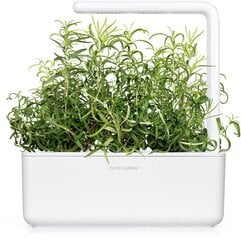 3 пакета для Smart Garden Refill от Click and Grow, розмарин цена и информация | Проращиватели, лампы для растений | kaup24.ee