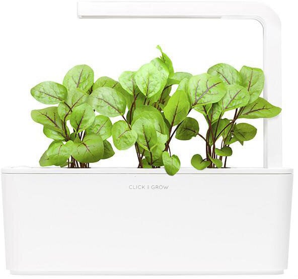 Click & Grow Smart Garden refill Verev oblikas 3tk hind ja info | Nutipotid ja taimelambid | kaup24.ee