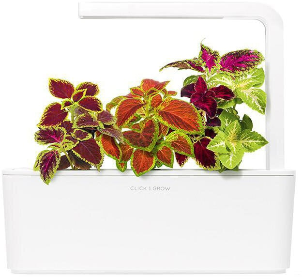 Click & Grow Smart Garden refill Kirinõges 3tk цена и информация | Nutipotid ja taimelambid | kaup24.ee