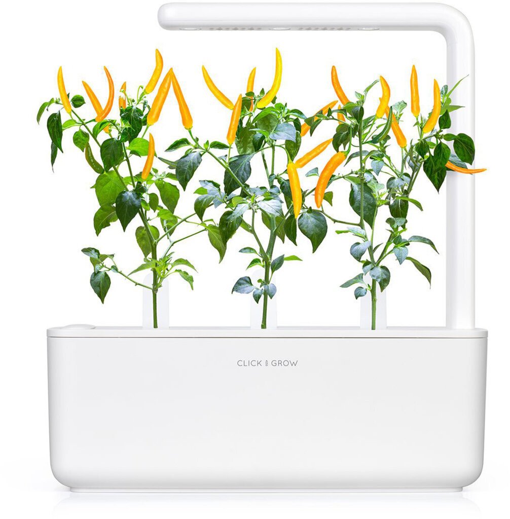Click & Grow Smart Garden refill Kollane tšilli 3tk hind ja info | Nutipotid ja taimelambid | kaup24.ee