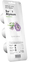 Click & Grow Smart Garden refill Sweet Alyssum 3pcs цена и информация | Проращиватели, лампы для растений | kaup24.ee