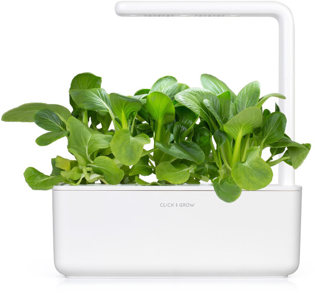 Click & Grow Smart Garden refill Pak Choi 3tk цена и информация | Nutipotid ja taimelambid | kaup24.ee