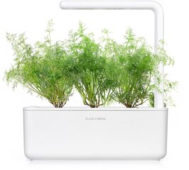 Click & Grow Smart Garden refill Till 3tk цена и информация | Проращиватели, лампы для растений | kaup24.ee