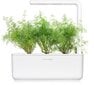 Click & Grow Smart Garden refill Till 3tk цена и информация | Nutipotid ja taimelambid | kaup24.ee
