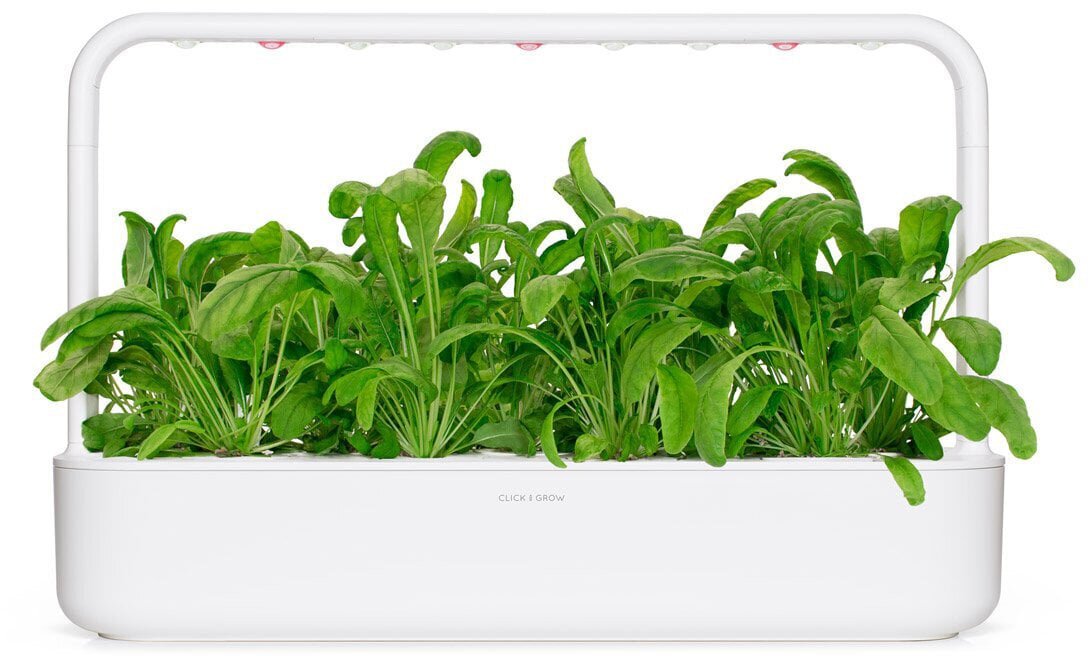 Click & Grow Smart Garden refill Mibuuna 3tk цена и информация | Nutipotid ja taimelambid | kaup24.ee