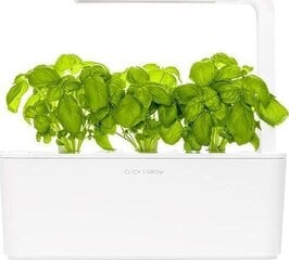 Click and Grow Smart Garden Refill 3 pakendit, Basiilikut hind ja info | Nutipotid ja seemned | kaup24.ee