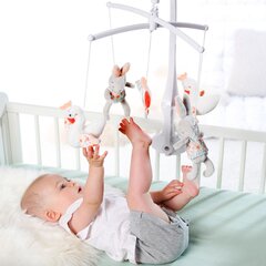 Fehn музыкальная карусель на детскую кроватку, Swan Lake цена и информация | Игрушки для малышей | kaup24.ee